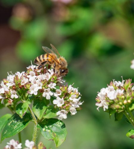 steven-groeneveld-sqTtcR3EVEU-unsplash